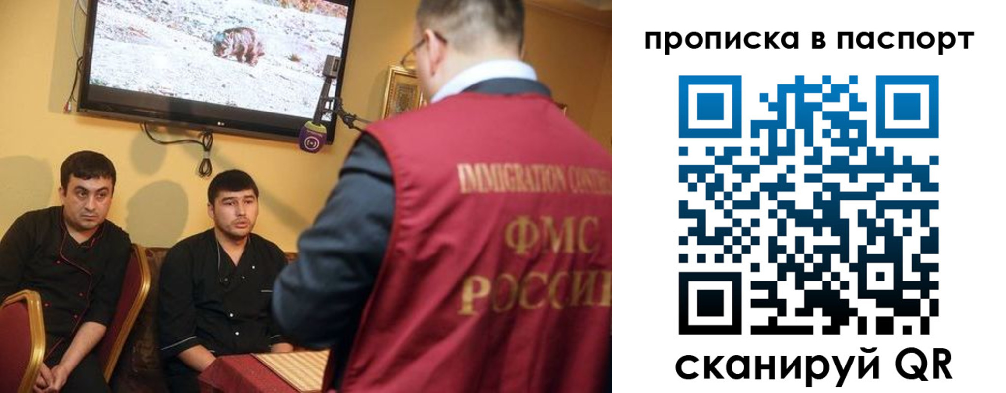 прописка в Кольчугино